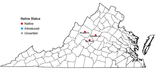 Locations ofDrymocallis arguta (Pursh) Rydberg in Virginia