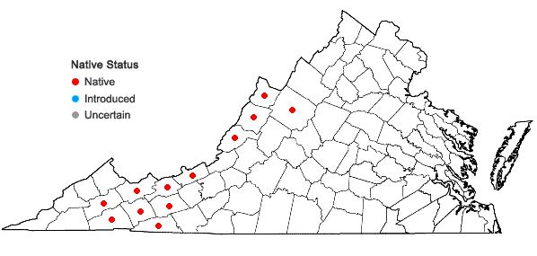 Locations ofDryopteris campyloptera (Kunze) Clarkson in Virginia