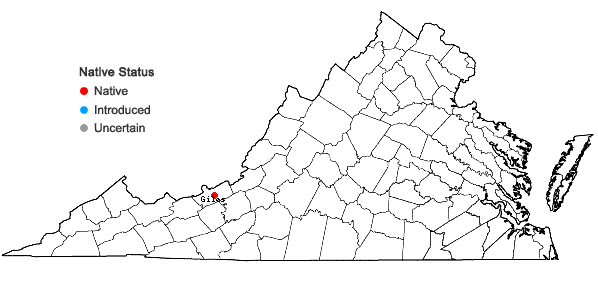 Locations ofDryopteris campyloptera × intermedia in Virginia