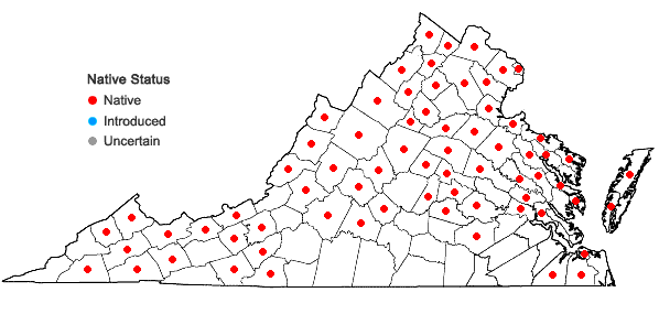 Locations ofDryopteris carthusiana (Vill.) H.P. Fuchs in Virginia