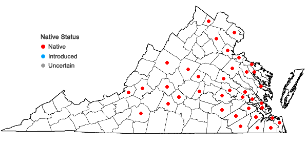 Locations ofDryopteris celsa (Wm. Palmer) Knowlt., Palmer & Pollard ex Small in Virginia