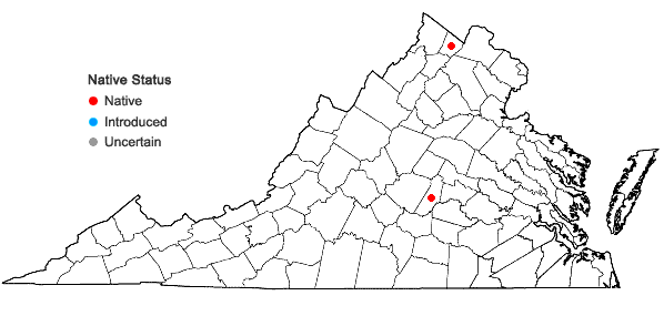 Locations ofDryopteris celsa × cristata in Virginia