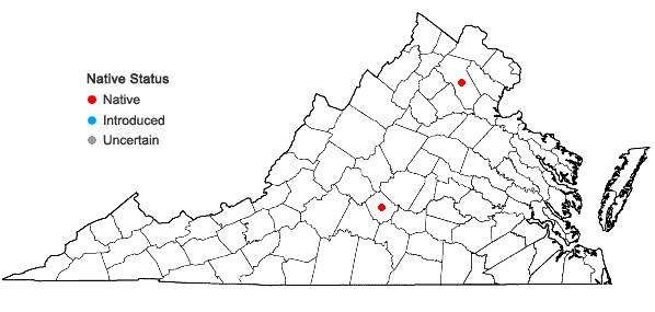 Locations ofDryopteris cristata × goldieana in Virginia