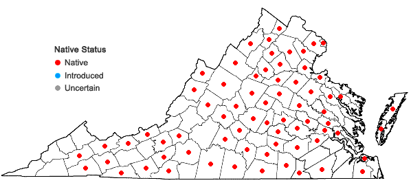 Locations ofDryopteris cristata (L.) Gray in Virginia