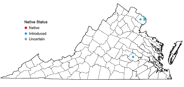 Locations ofDryopteris erythrosora (D.C. Eaton) Kuntze in Virginia