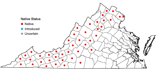 Locations ofDryopteris goldieana (Hook. ex Goldie) Gray in Virginia