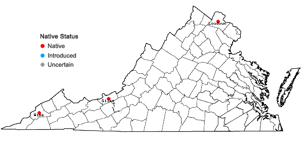 Locations ofDryopteris intermedia × marginalis in Virginia