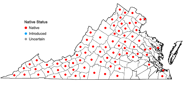 Locations ofDryopteris marginalis (L.) Gray in Virginia