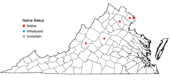 Locations ofDryopteris ×boottii (Tuckerman) Underwood in Virginia