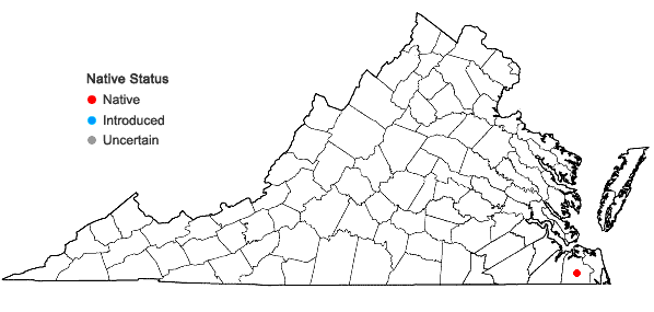 Locations ofDryopteris ×separabilis Small in Virginia