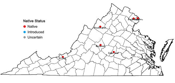 Locations ofDryopteris ×triploidea Wherry in Virginia