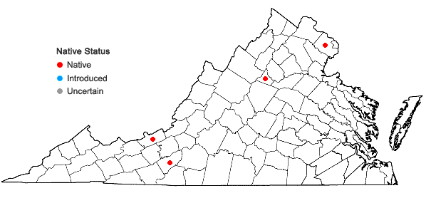 Locations ofDryopteris ×uliginosa (A. Braun ex Dowell) Druce in Virginia