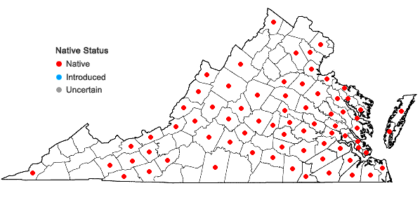 Locations ofDulichium arundinaceum (L.) Britton var. arundinaceum in Virginia