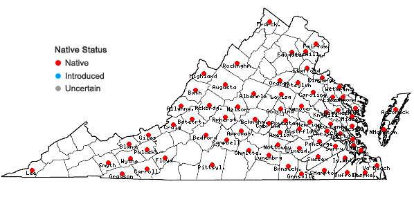 Locations ofDulichium arundinaceum (L.) Britton var. arundinaceum in Virginia