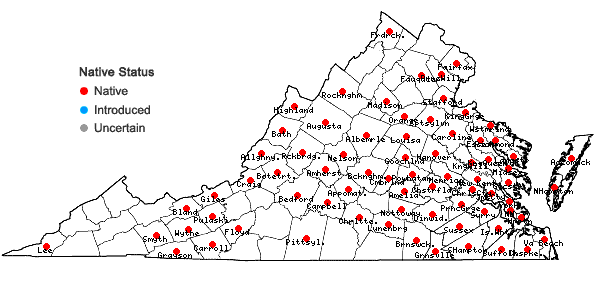 Locations ofDulichium arundinaceum (L.) Britton var. arundinaceum in Virginia