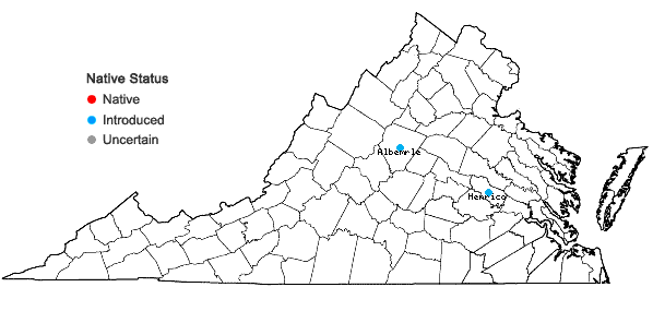 Locations ofDysphania botrys (L.) Mosyakin & Clemants in Virginia