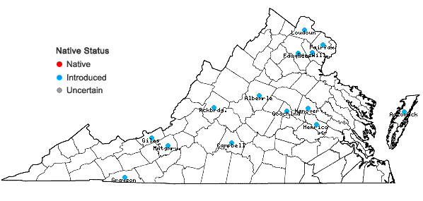 Locations ofDysphania pumilio (R. Br.) Mosyakin & Clemants in Virginia