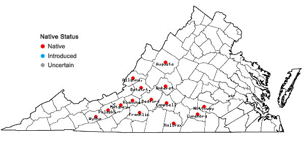 Locations ofEchinacea laevigata (C.L. Boynt. & Beadle) Blake in Virginia