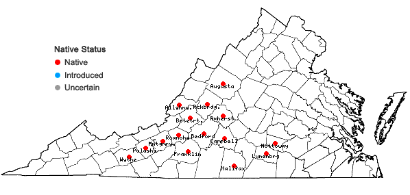 Locations ofEchinacea laevigata (C.L. Boynt. & Beadle) Blake in Virginia
