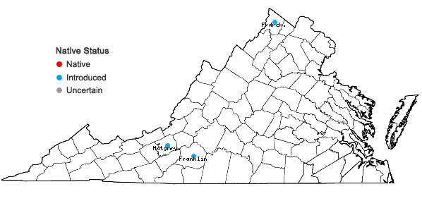 Locations ofEchinacea pallida (Nutt.) Nutt. in Virginia