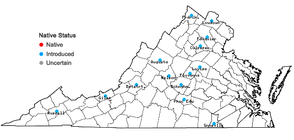 Locations ofEchinacea purpurea (L.) Moench in Virginia