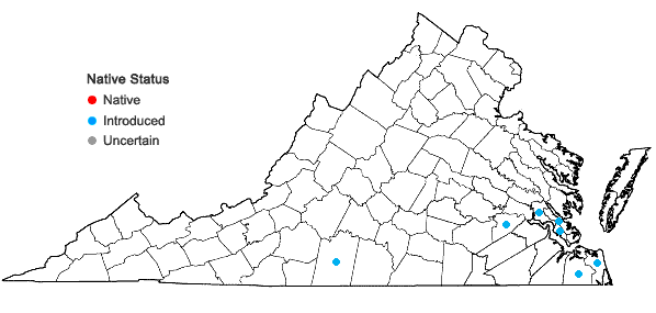 Locations ofEchinochloa colonum (L.) Link in Virginia