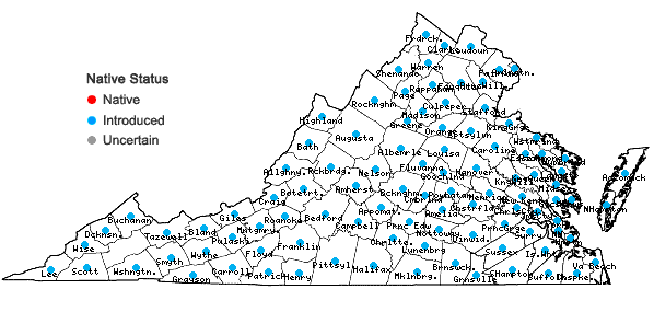 Locations ofEchinochloa crus-galli (L.) Beauv. var. crus-galli in Virginia