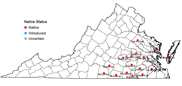 Locations ofEchinodorus cordifolius (L.) Grisebach in Virginia