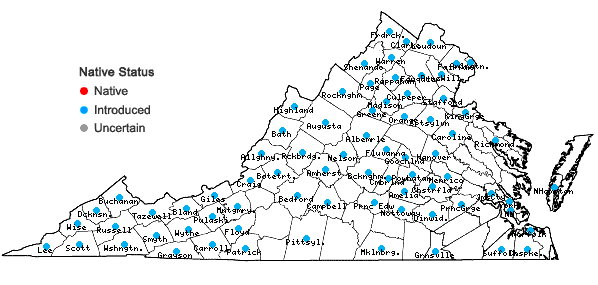 Locations ofEchium vulgare L. in Virginia