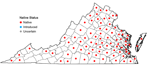Locations ofEclipta prostrata (L.) L. in Virginia