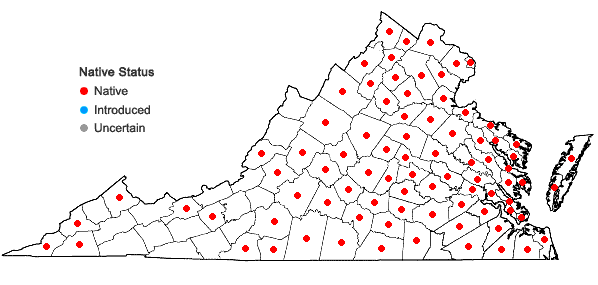 Locations ofEclipta prostrata (L.) L. in Virginia