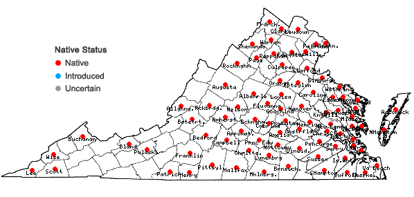 Locations ofEclipta prostrata (L.) L. in Virginia