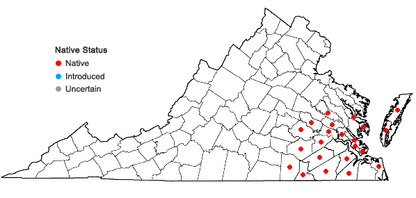 Locations ofEdrastima uniflora (L.) Raf. in Virginia