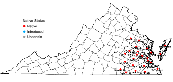 Locations ofEdrastima uniflora (L.) Raf. in Virginia