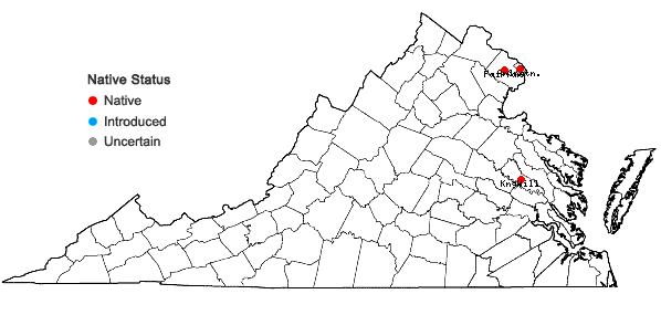 Locations ofElatine minima (Nutt.) Fisch. & C.A. Mey. in Virginia