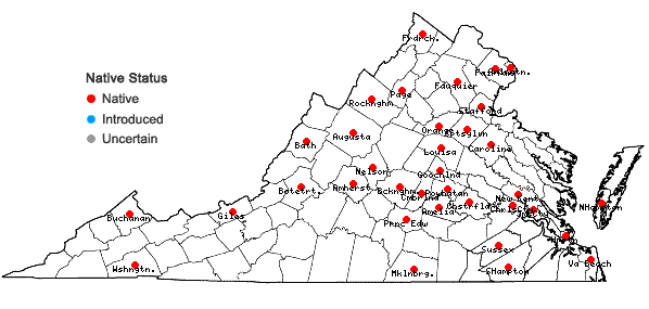 Locations ofEleocharis acicularis (L.) Roemer & Schultes in Virginia