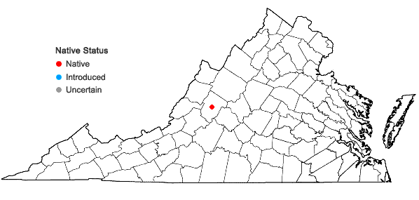 Locations ofEleocharis bifida S.G. Smith in Virginia