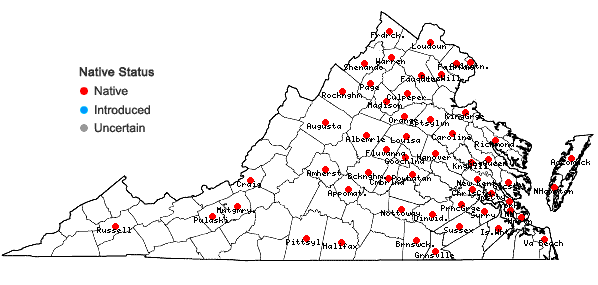 Locations ofEleocharis engelmannii Steudel in Virginia