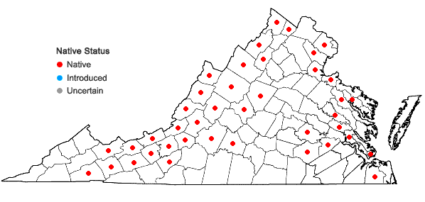 Locations ofEleocharis erythropoda Steudel in Virginia