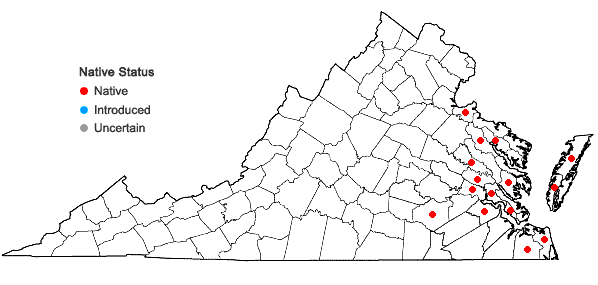 Locations ofEleocharis fallax Weatherby in Virginia