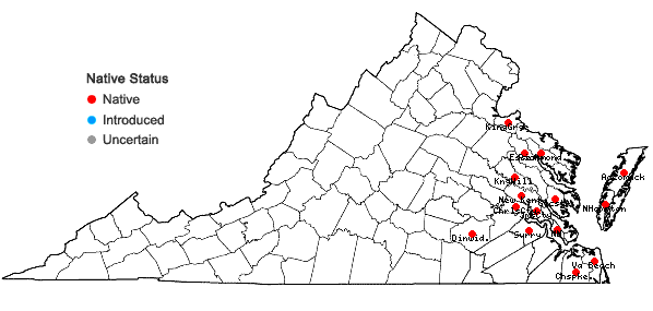 Locations ofEleocharis fallax Weatherby in Virginia