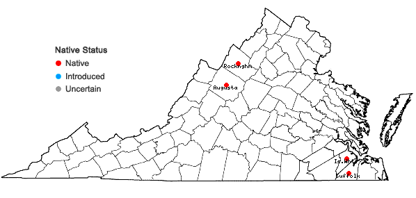 Locations ofEleocharis melanocarpa Torrey in Virginia