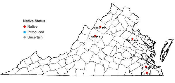 Locations ofEleocharis melanocarpa Torrey in Virginia
