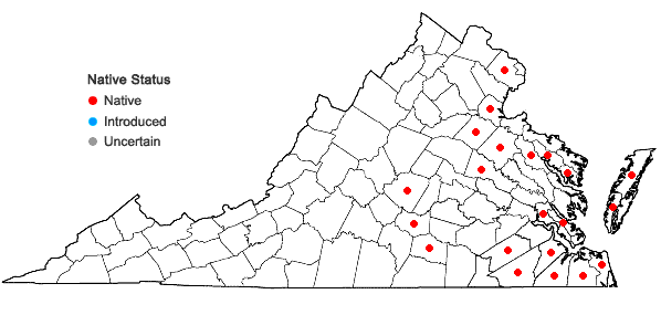 Locations ofEleocharis olivacea Torrey var. olivacea in Virginia