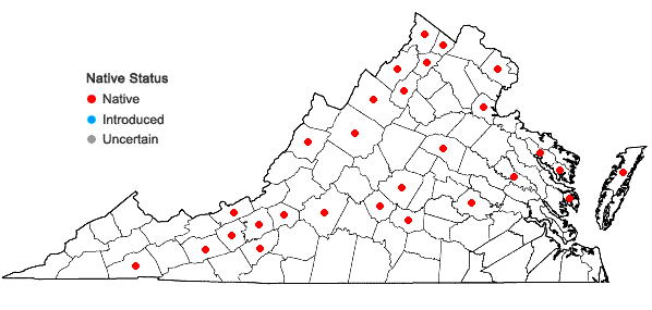 Locations ofEleocharis palustris (L.) Roemer & Schultes in Virginia