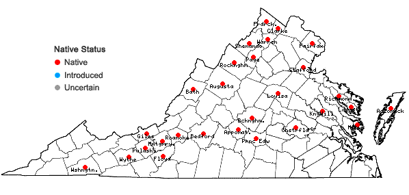 Locations ofEleocharis palustris (L.) Roemer & Schultes in Virginia