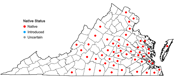 Locations ofEleocharis quadrangulata (Michaux) R. & S. in Virginia