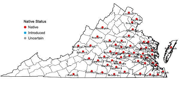 Locations ofEleocharis quadrangulata (Michaux) R. & S. in Virginia