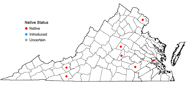 Locations ofEleocharis tenuis (Willd.) Schultes var. pseudoptera (Weath.) Svens. in Virginia