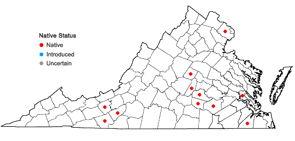 Locations ofEleocharis tenuis (Willd.) Schultes var. pseudoptera (Weath.) Svens. in Virginia